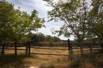 Fototapeta premium Corral