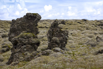 Different Lava with moss in Iceland.