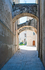 Fototapeta premium The architectures and colors of Monopoli
