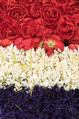 Fototapeta premium Abstract background . Close-up of colorful tulips and hyacinths