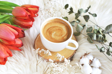 Hot Coffee Cappuccino Tea Cup Spring Time Toned Photo White Fur Pink Red Tulips Cotton Flowers Herbs Top View
