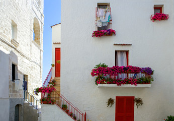 The architectures and colors of Monopoli