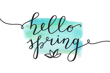hello spring, vector lettering and flower, spring card with handwritten text © redcollegiya
