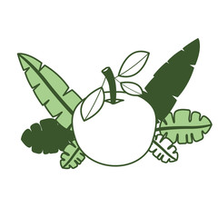 orange with leafs fresh and citrus fruit vector illustration design