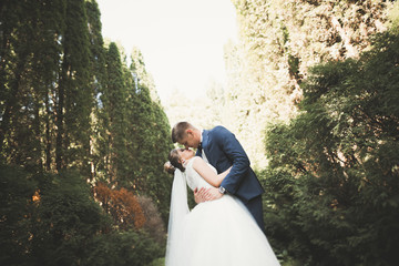 Happy wedding couple walking in a botanical park