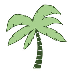 tree palm tropical plant vector illustration design