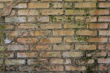 aged  brick wall texture background