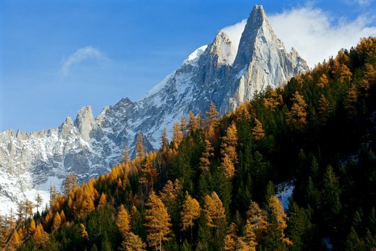 les drus d'automne