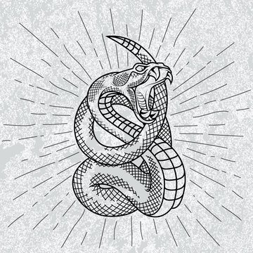 Viper snake in star rays with grunge background. Hand drawn illustration in outline. Occult symbol. 