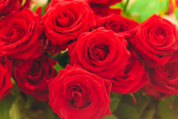 closeup red roses bouquet