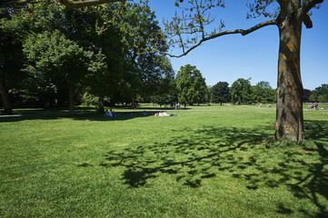 Schlossgarten Karlsruhe Hardtwald
