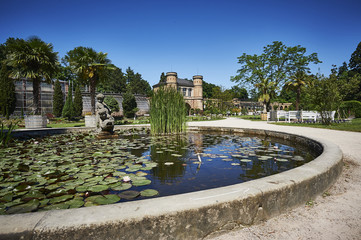 Botanischer Garten Karlsruhe Seerosenteich