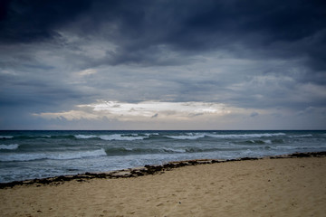 Gulf of Mexico seascape