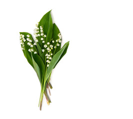 Fleur avec des feuilles Muguet (Convallaria majalis), autres noms : cloches de mai, lis de mai, larmes de Notre-Dame et larmes de Marie sur fond blanc avec un espace pour le texte. Vue de dessus, mise à plat.