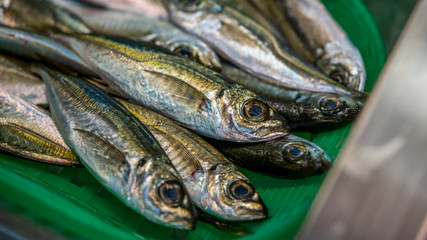 Dried Fish Preservation