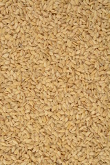 Lino dorado, composición como fondo