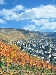 Herbst im Ahrtal bei Dernau,Rheinland-Pfalz,Deutschland