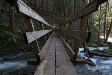 Hiking foot bridge over creek