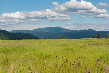 Fototapeta premium Grasslands of Washington