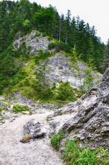 White river Tatra mountains
