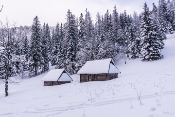 Huts under snow