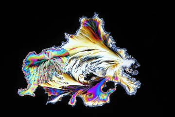 Art and chemistry,  microscope image of paracetamol