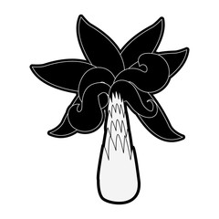 Palm tree symbol icon vector illustration graphic design