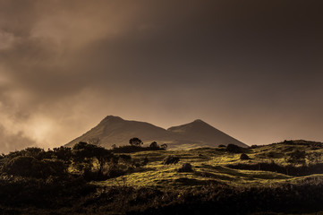 Hügel Landschaft auf den Azoren am Abend