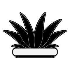 Bush plant symbol icon vector illustration graphic design