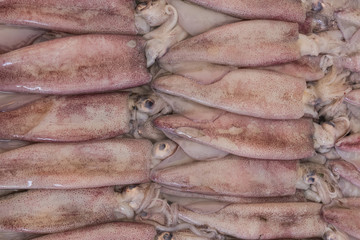 Seafood at a Market in Thailand