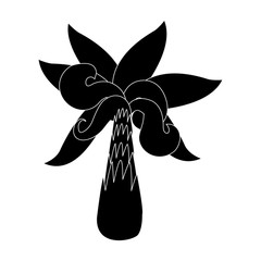Palm tree symbol icon vector illustration graphic design