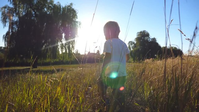 Little kid with blonde hair going at the field on a sunny day. Boy walking on green grass at summer. Happy child enjoying nature at the meadow. Beautiful landscape at background. Side view Close up