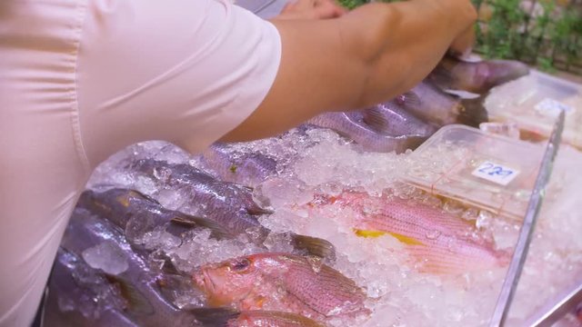 Showcase with sliced red fish on ice. Market. Fish in the shop window. Raw seafood is sold in the store. Closeup. 4k