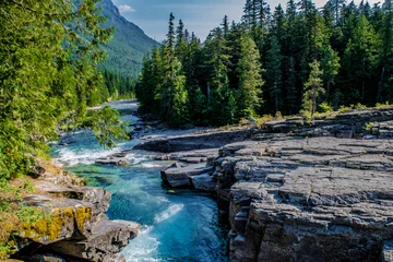 Wall murals Forest river Beautiful Summer Day in Glacier National Park, Montana