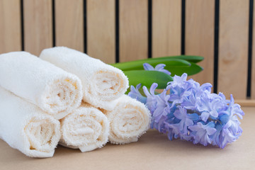 Beige bath towels on wooden background and a fresh violet hyacinth. Spa concept.