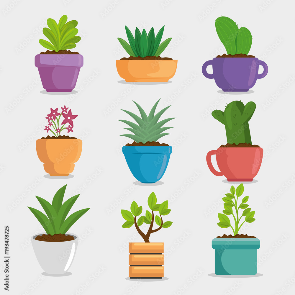 Wall mural cute houseplant in pot vector illustration design