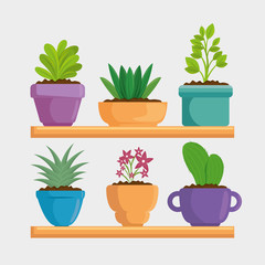 cute houseplant in pot vector illustration design