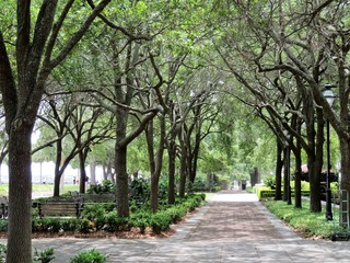 Fototapeta premium Brick and cobblestone path lined with trees in Charleston, South Carolina, SC