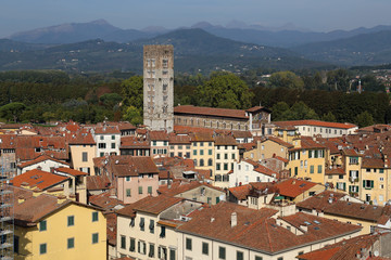 Tower of the Basilica de San Frediano in Lucca, Italy