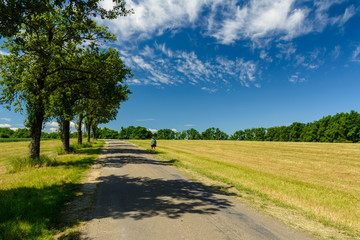 Fototapeta na wymiar summer hiking lonesome street in the fields