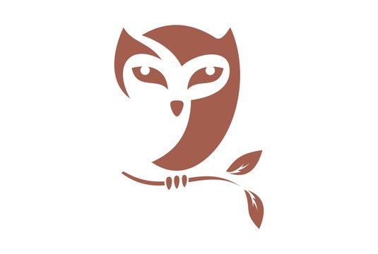 brown owl logo vector