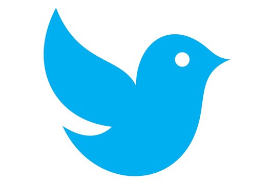 cute blue bird logo vector
