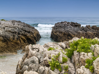 Desembocadura al mar, entre grandes rocas y flores
