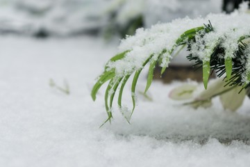 Cemetery covered by snow in winter. Slovakia
