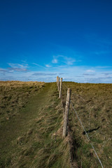 Linear perspective of a wire fence running through a meadow on a spring sunny day with blue sky and white clouds in background