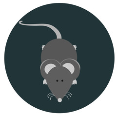 gray mouse icon