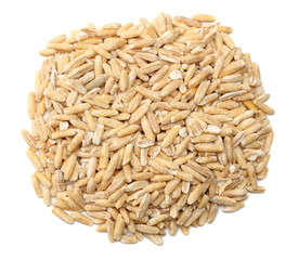 Fototapeta premium oat grains isolated on white background. top view
