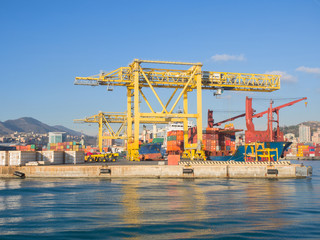 Fototapeta premium duże żółte dźwigi do załadunku i rozładunku kontenerów ze statków towarowych