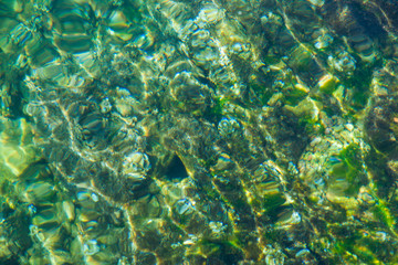 Fototapeta na wymiar Stony bottom under greenish transparent water 