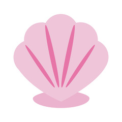 sea shell icon image vector illustration design 